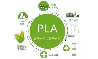 助力生物基产业新征程 顿汉布什服务安徽丰原集团生物基材料项目