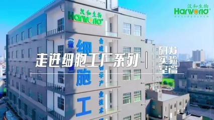 汉和生物 生物基材料领域的创新先锋与绿色未来