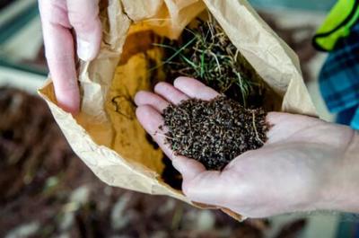 再生土地利用模式 在建成环境中以生物基材料驱动文化变革与自然提升